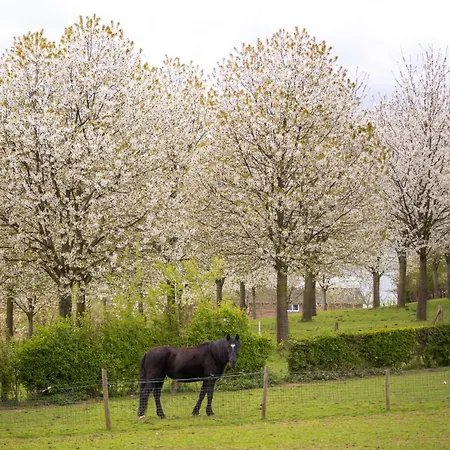Sibbliem Luxury Holiday home Valkenburg aan de Geul