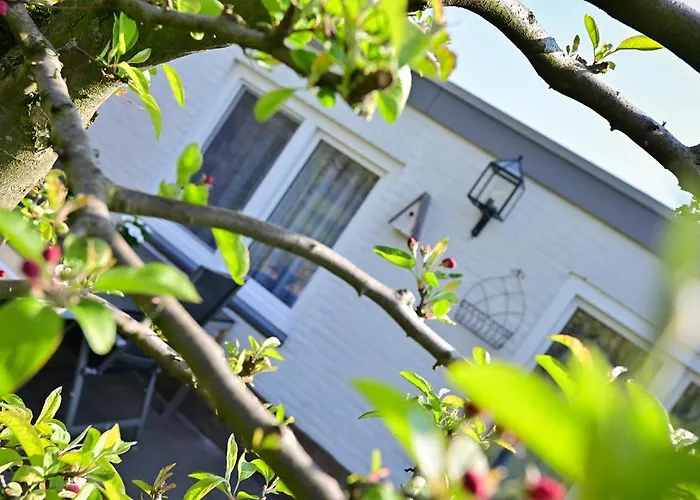 Sibbliem Luxury * 法尔肯堡