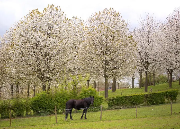 Sibbliem Luxury Holiday home Valkenburg aan de Geul